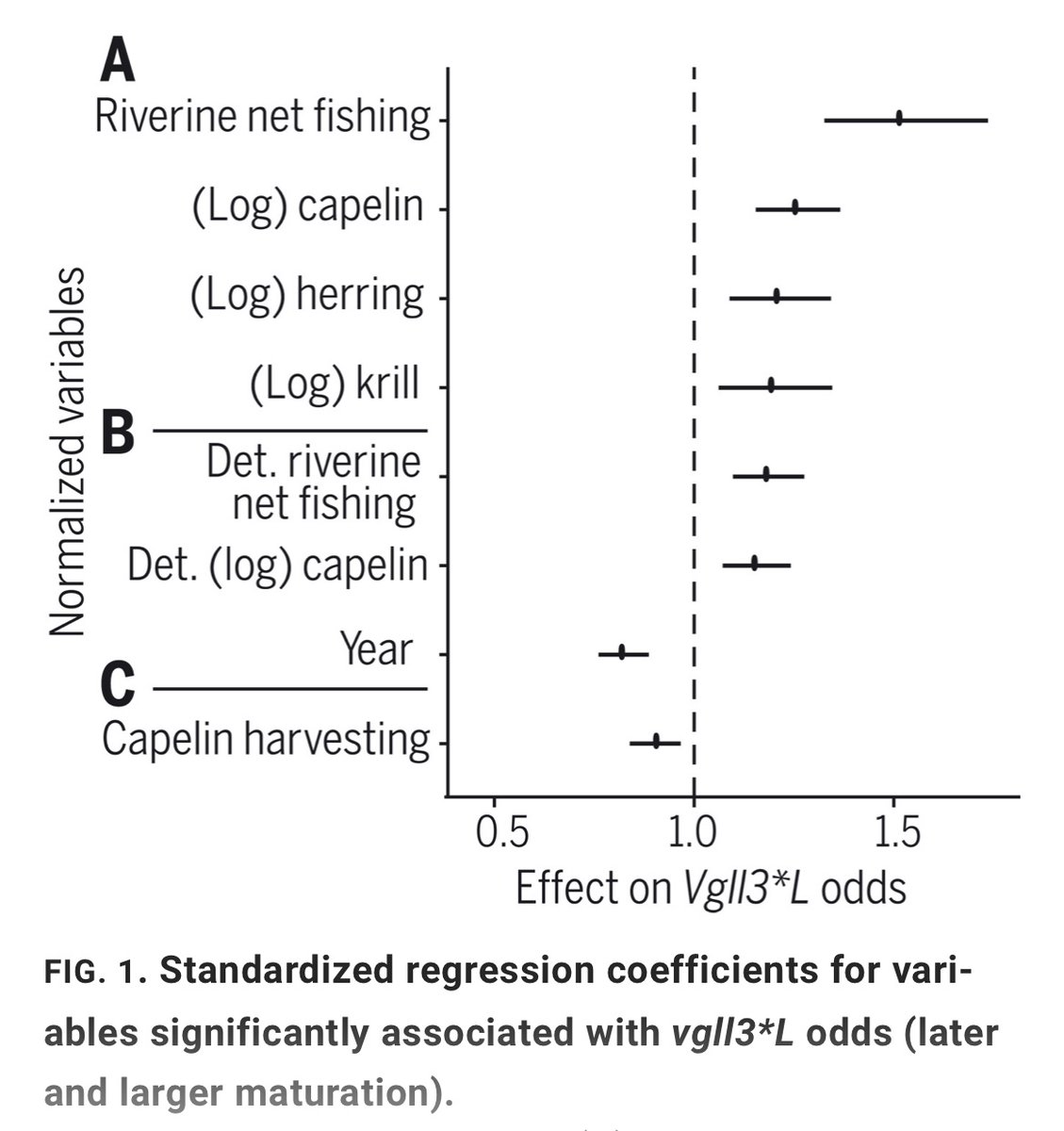 Czorlich et al. looked at native populations of Atlantic salmon and found that even indigenous fishing pressure has led to evolutionary change in these populations 

Led by Primmer, University of Helsinki

https://t.co/18jIXw1pEq https://t.co/LwdpUXd8fd