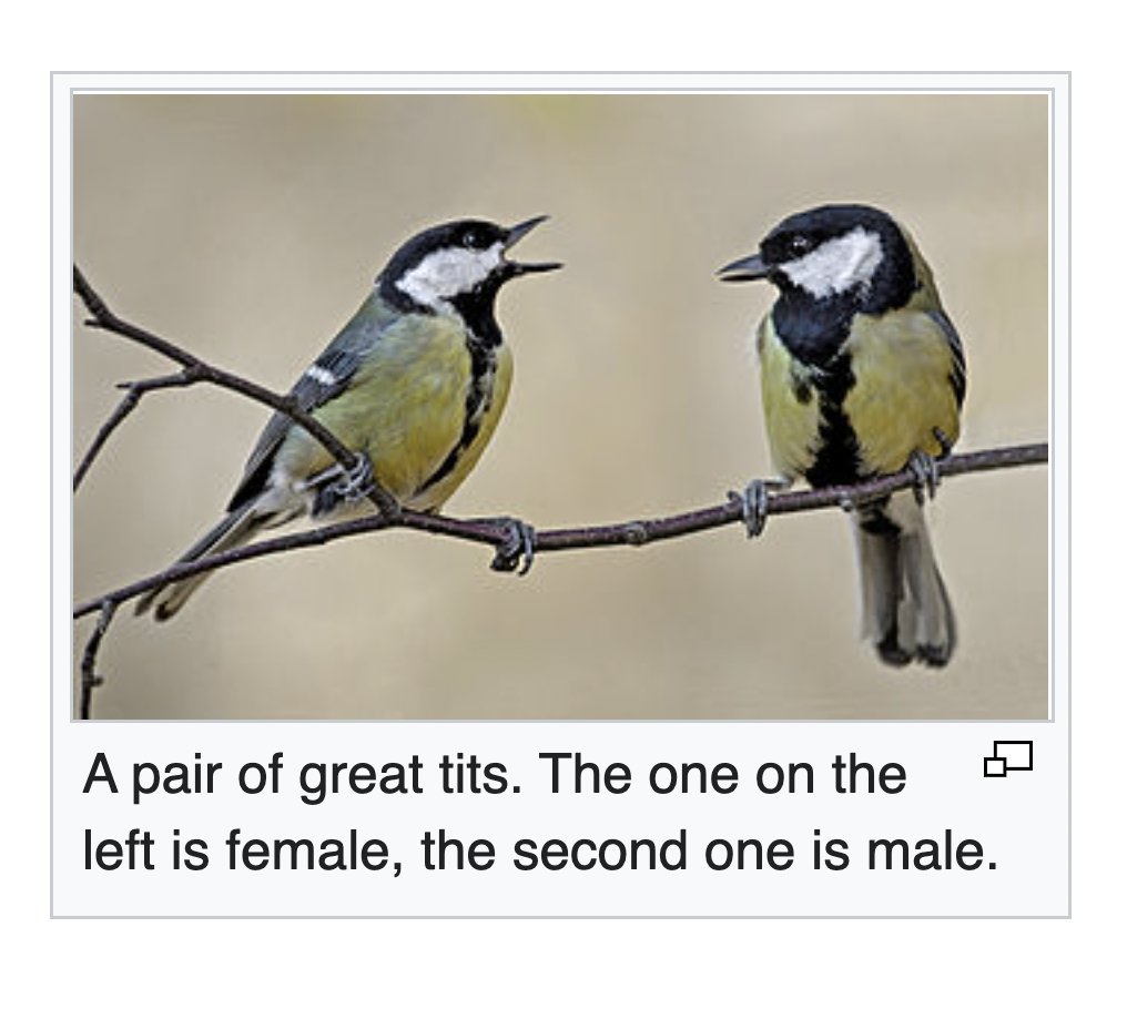 Greatest Tits - Wikipedia