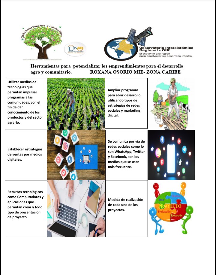 Roxana osorio Mier tweet media