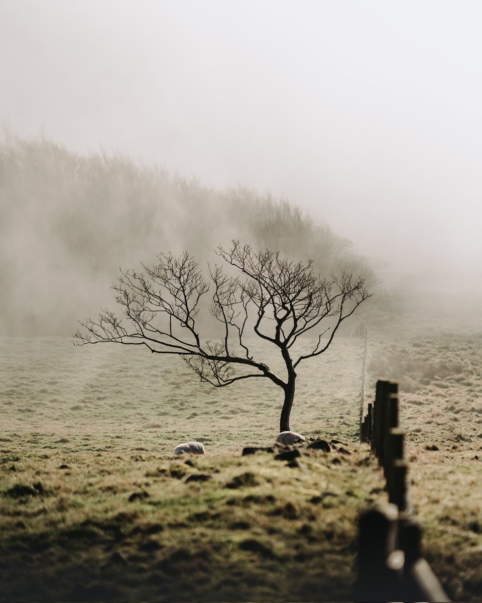 PhotoMarshall1's tweet photo. @MarcelStrelow @foundation Hey there! Cheers for the competition 😉
Here are some shots from different parts of Peak District (Mam Tor, Snake Woodlands, Chrome Hill) https://t.co/nJYXL0WFft