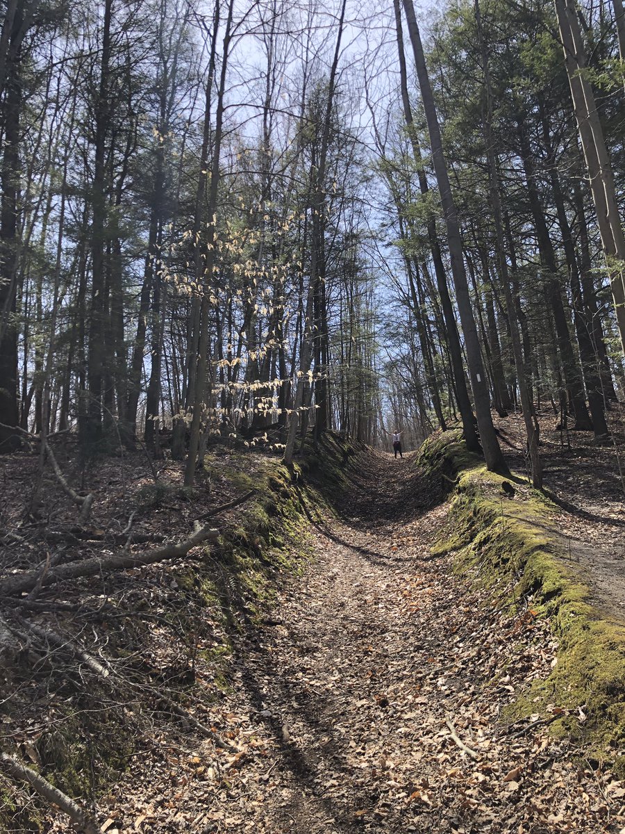 HJHelenKim's tweet photo. Walked through @NCC_CNC Deep Woods and then to my favourite Langtry Nature Reserve. Scarlet elfcups are abundant and garter snakes must be emerging from hibernation as there were so many! Should come back to see blankets of trilliums soon. #time4nature https://t.co/CJnPFTTvlQ