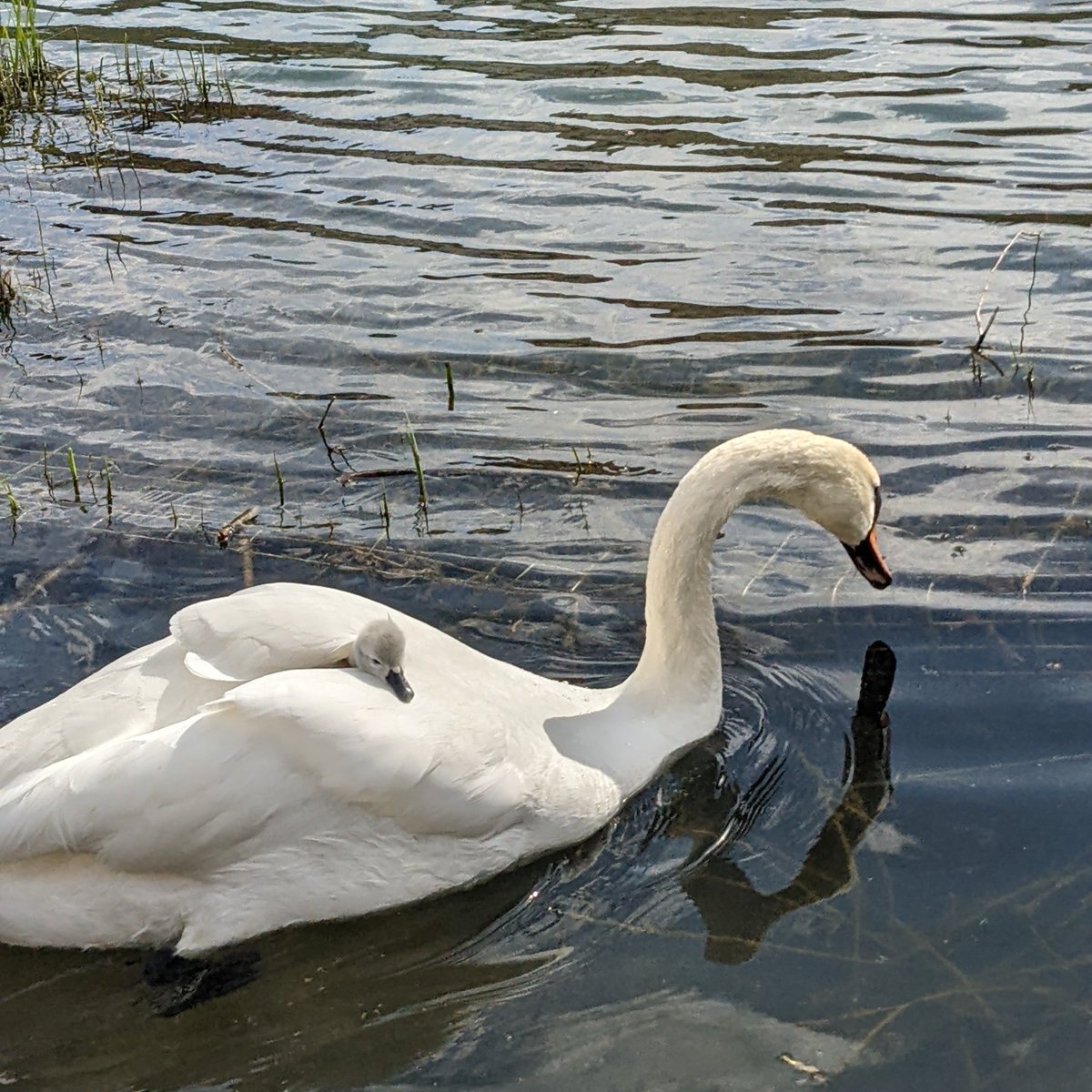 all i want is to be this safe and snug