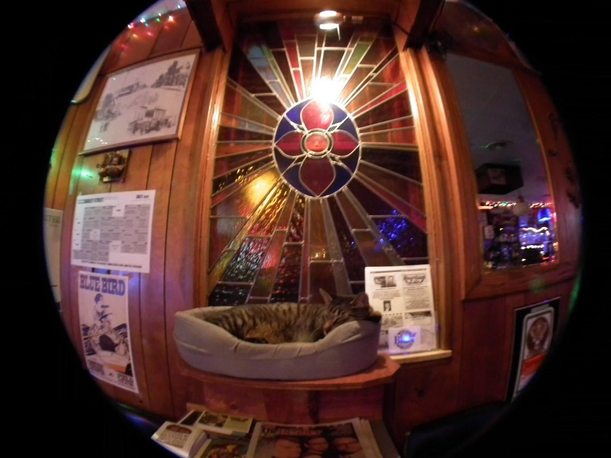 Best Midwestern tweet media