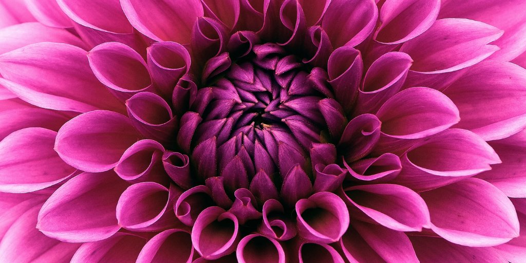 予祝花結人 千幸 Chiyuki8739 Twitter