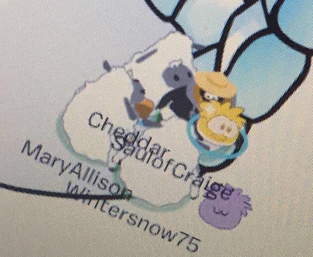CheddarPeng's tweet photo. Going on a hiatus for the time being. Waddle on! https://t.co/Y3QZoXStds