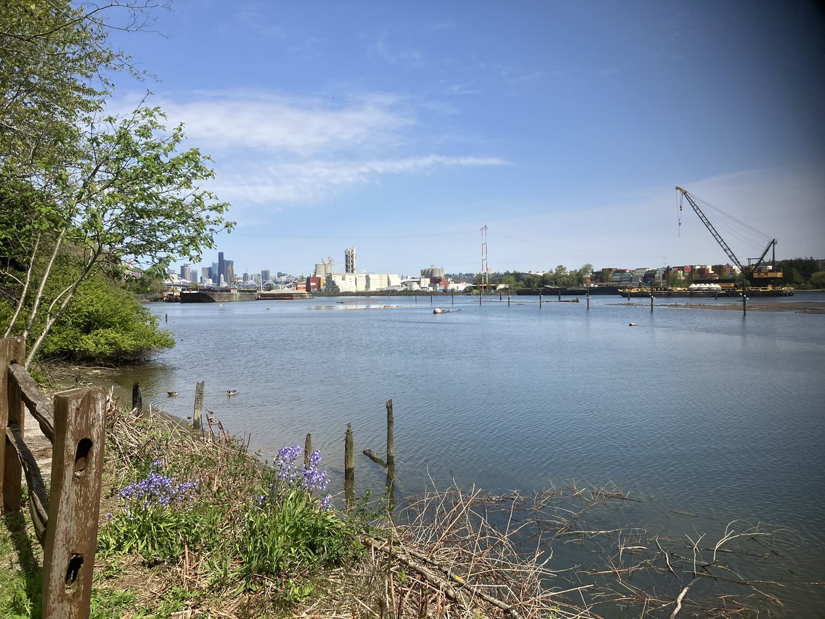 publicwritesea's tweet photo. Spot #56: shaded table off the Duwamish trail, West Seattle. A view of the city over the calm waterway, some traffic sounds. More tables nearby in həʔapus Village Park. #seattle #writing #WritingCommunity https://t.co/pf23UxNWDj