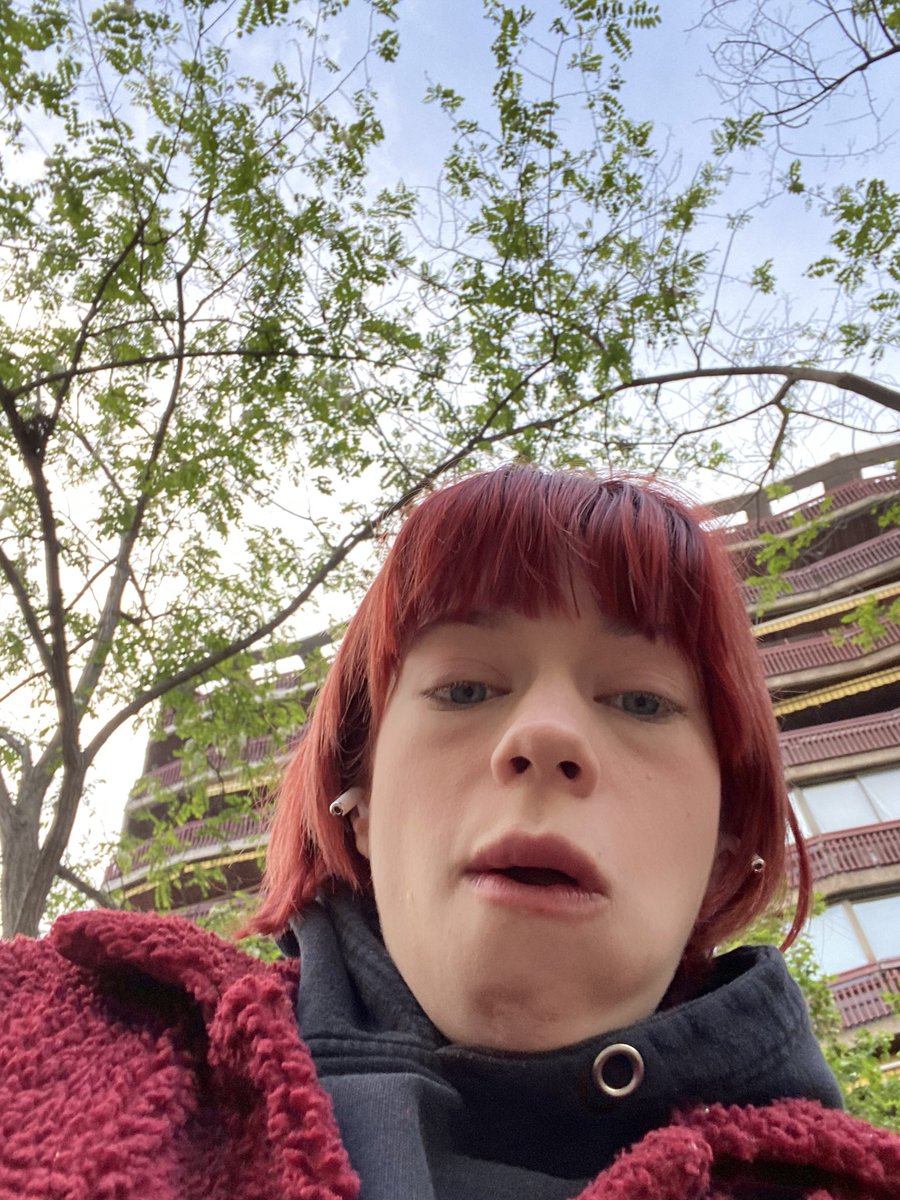 seagull2_0's tweet photo. Ну я. https://t.co/79JIoOKtbC