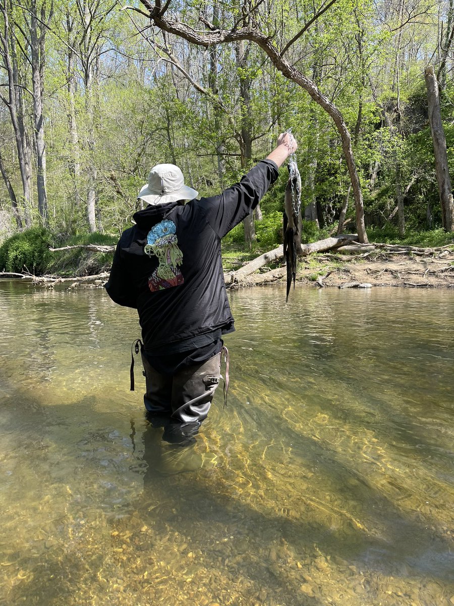 illianokevin's tweet photo. Bored Trout @BoredApeYC #BAYC #trout https://t.co/3BQ2HNQeMb
