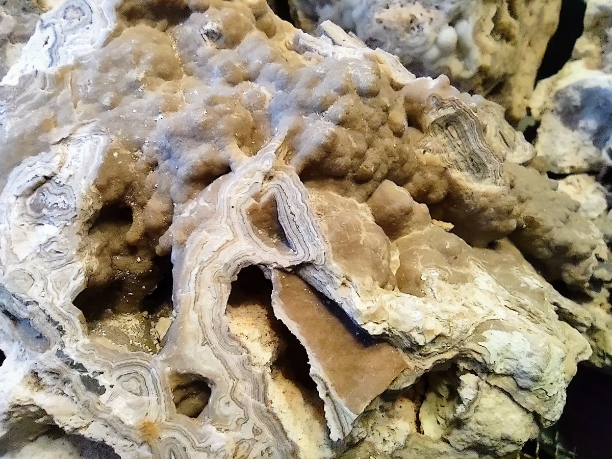 chriskincaid232's tweet photo. Lace agate, banded chert, druzy and botryoidal quartz at Patty Quarry, Chattooga Co, Summerville, GA.

This chert mine contains agate referred to as Summerville Crazy Lace or Alabama Swirl Agate, usually with grey and red alternating bands.

#Rockhounding #Prospecting #Agate https://t.co/X2PPY8zMPd