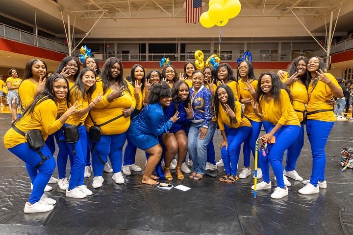 Lambda Beta Poodles tweet media