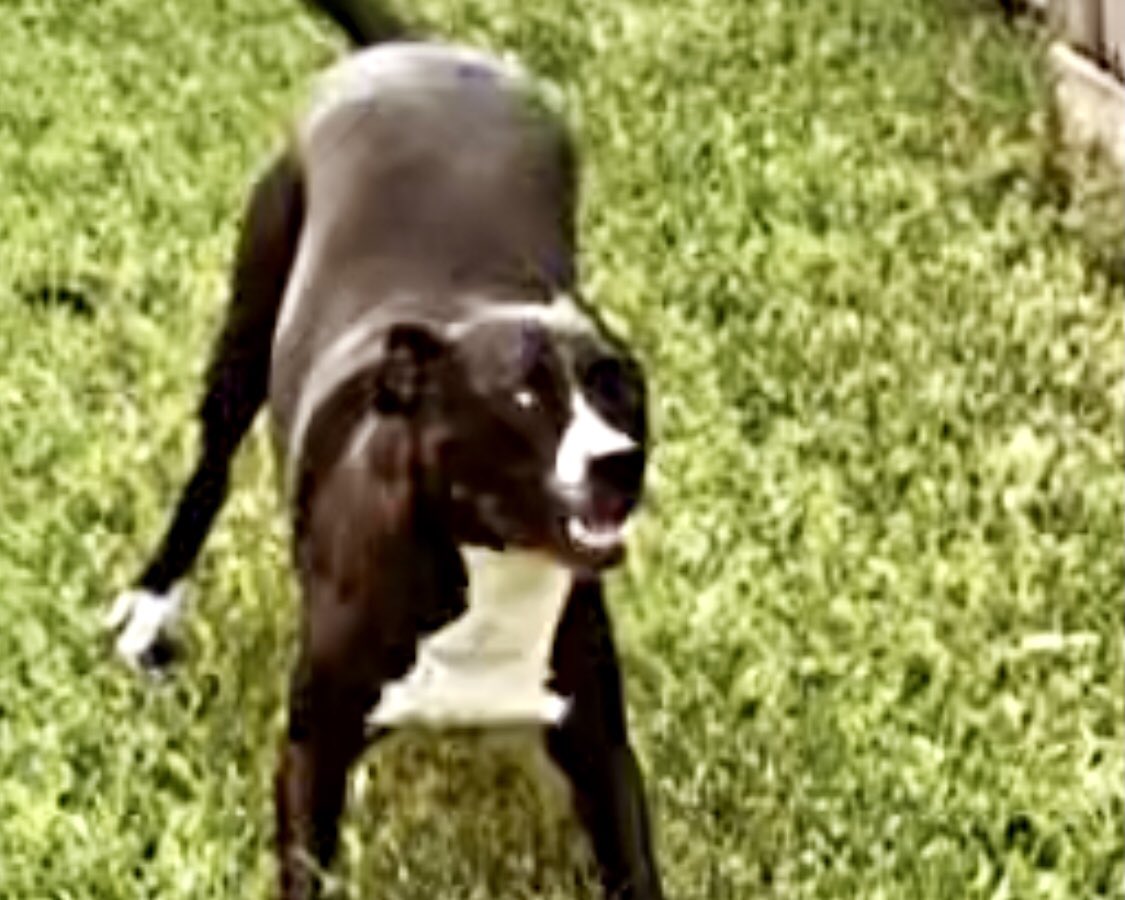 F4NGonline's tweet photo. When you say the wrong mf thing and you gotta back tf up a bit https://t.co/mVROQ56lxr