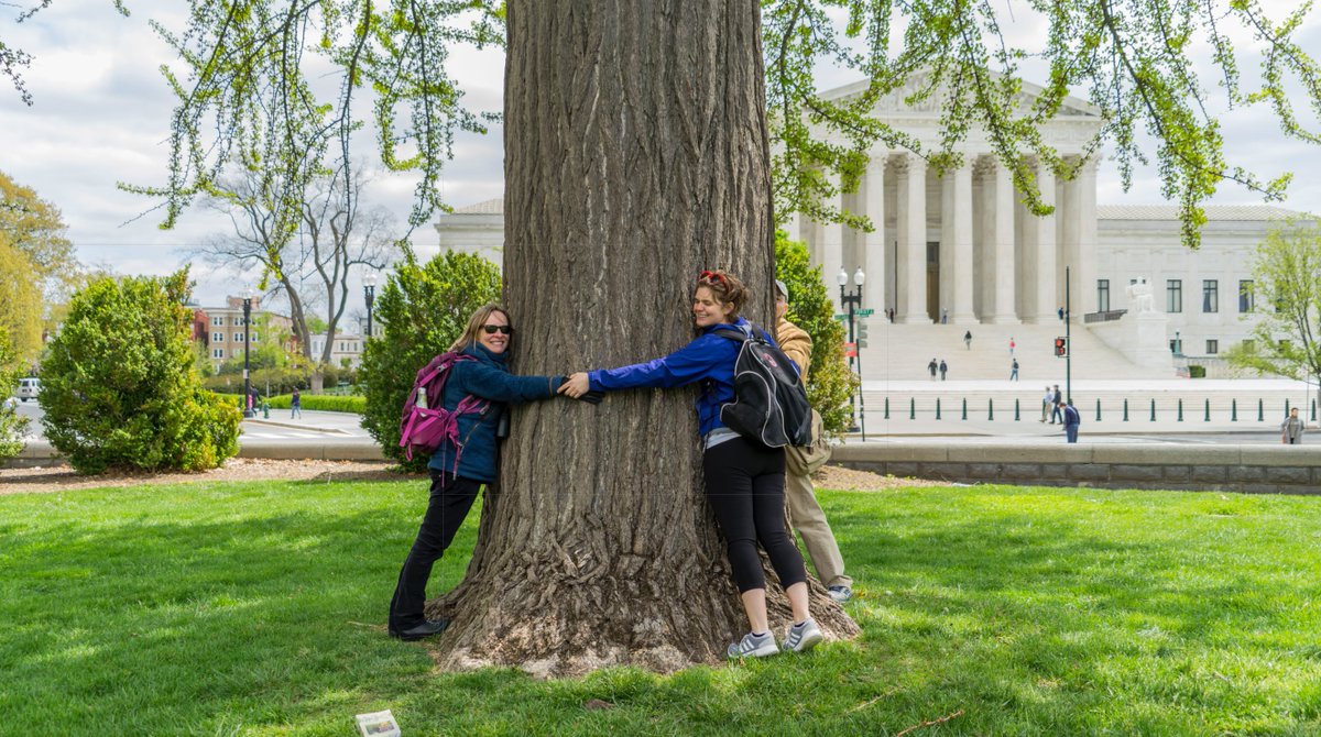 Happy Earth Day! #EarthDay
