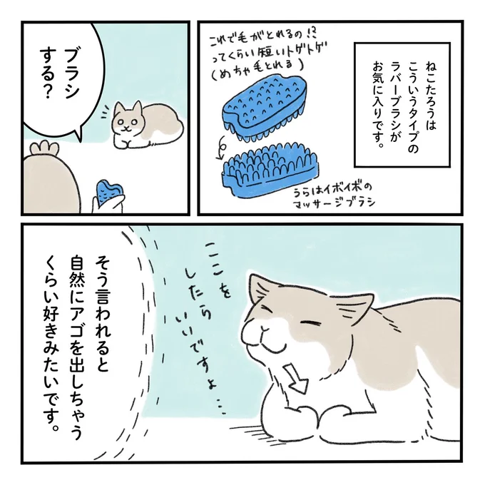 うちのねこがお気に入りのブラシ#みちこの日記   #コルクラボマンガ専科 #猫のいるくらし 