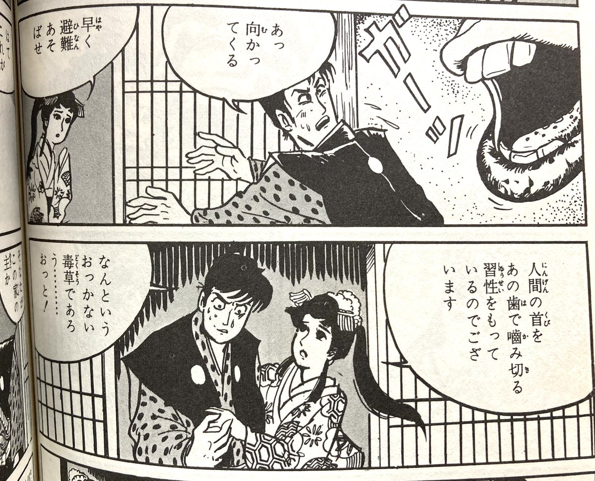 水木しげる『怪奇死人帳』より。南蛮渡来の毒草「ギロチン」ラロ ラロン #ギロチンの日 