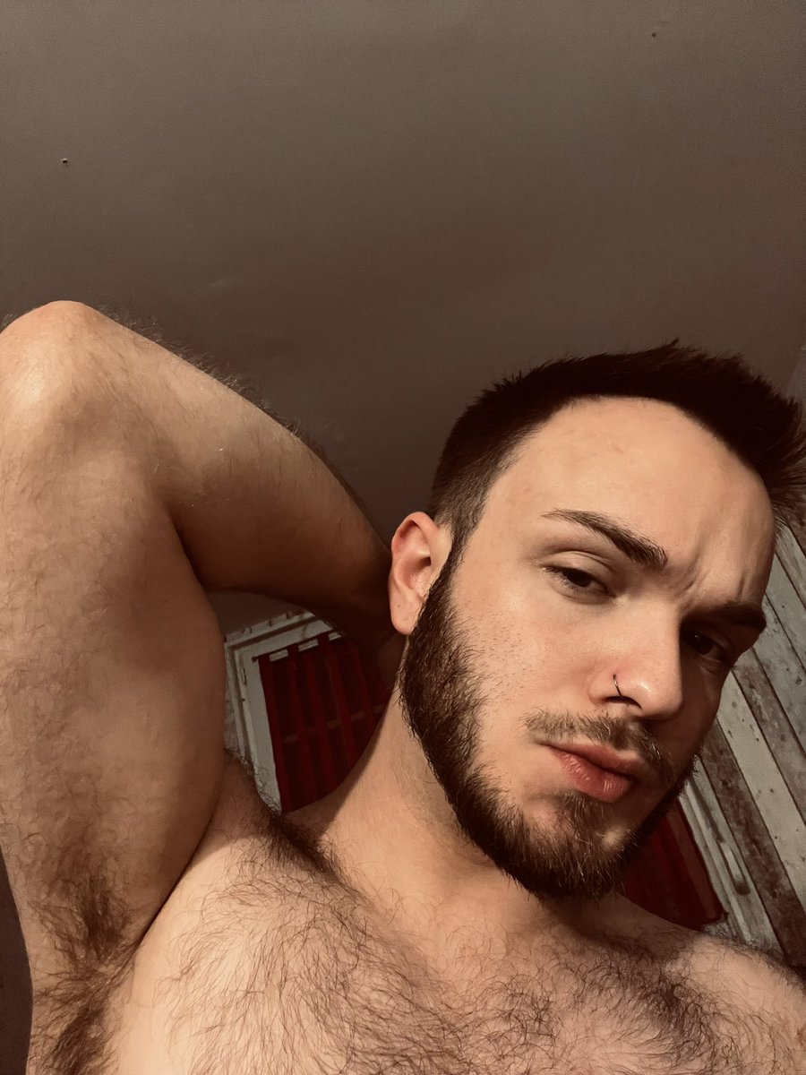 Al.☄️ tweet media