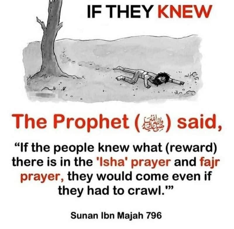 If they knew . . .

#subhanallah
#Alhamdulillah
#Allahuakbar
#salah
#islam
#Quran
#muslim
#pray
#ameen
#Ramadan