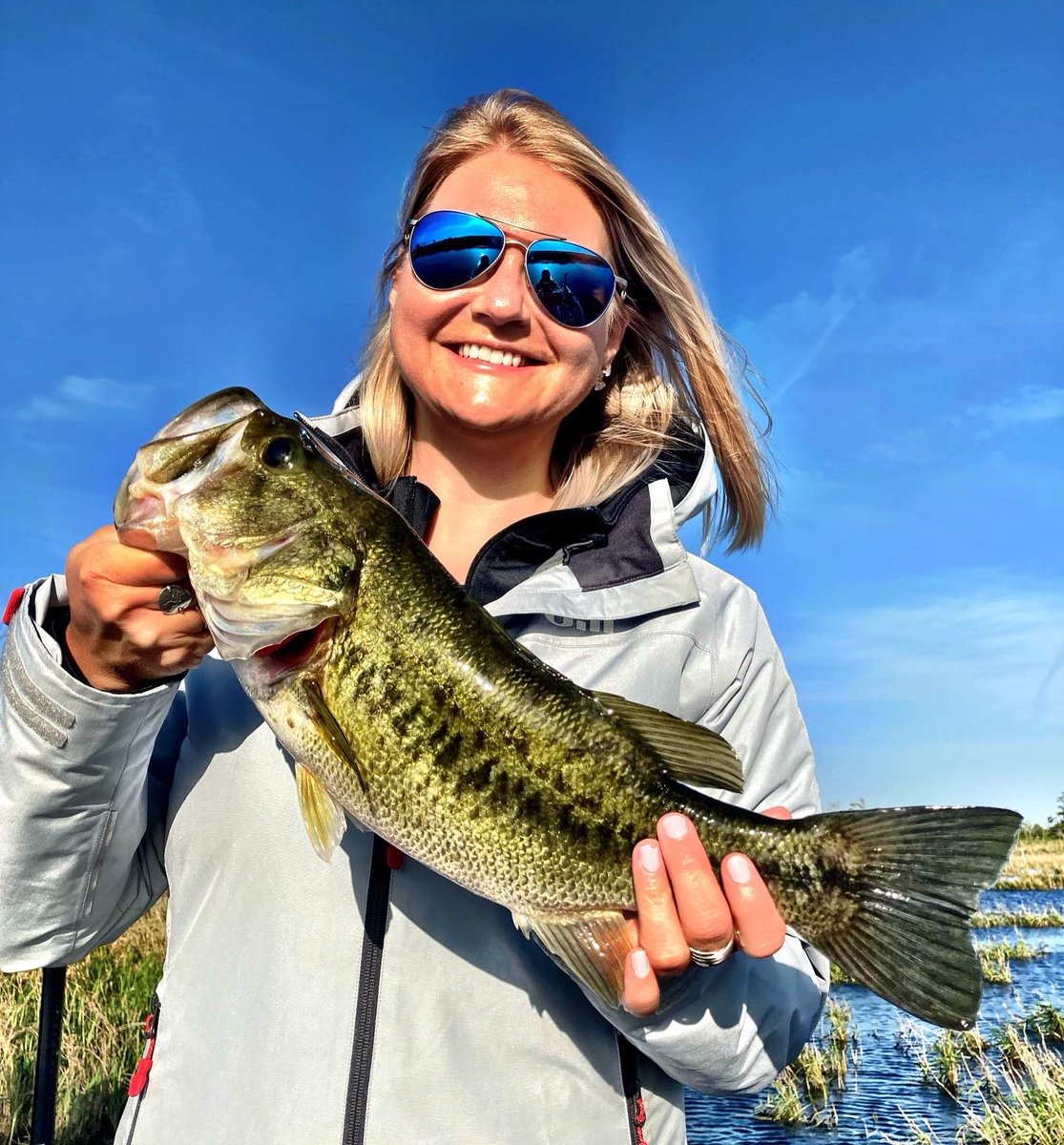 Michele Eichstead tweet media