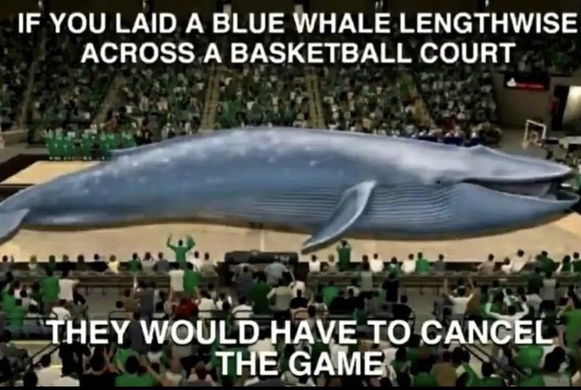 .mp4 (@poopchamber0) on Twitter photo 