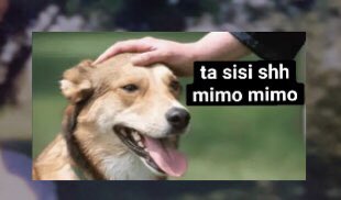 LeoniSol's tweet photo. mi sobrino cuando le digo que lo amo por 5ta vez en el dia. https://t.co/vVtmntxvqB