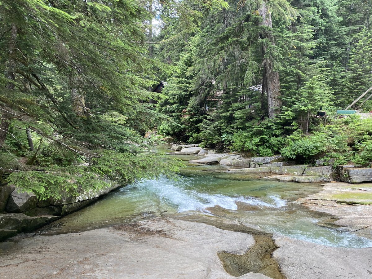 Sheep 🐏 tweet media