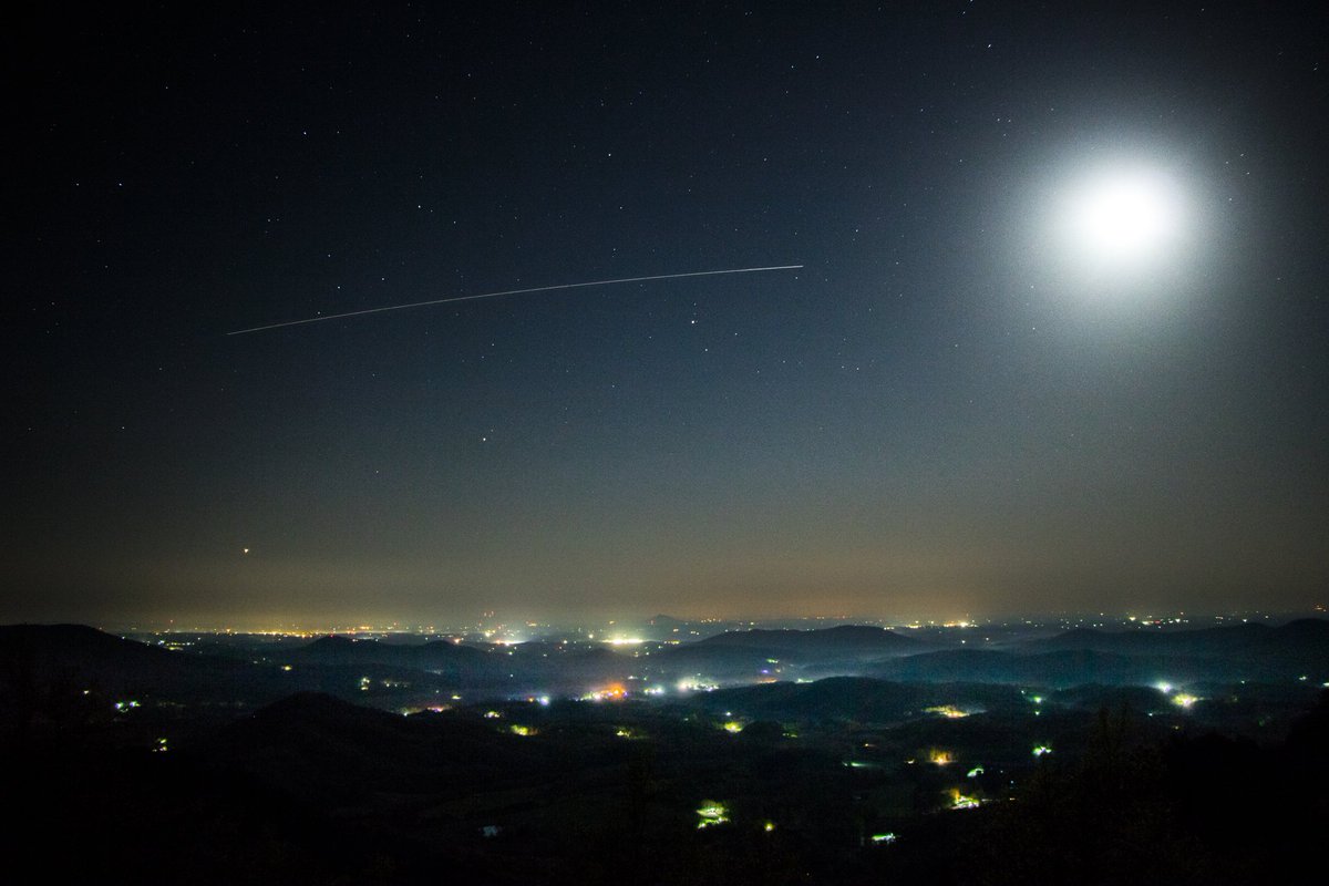 Fred Mitchell tweet media