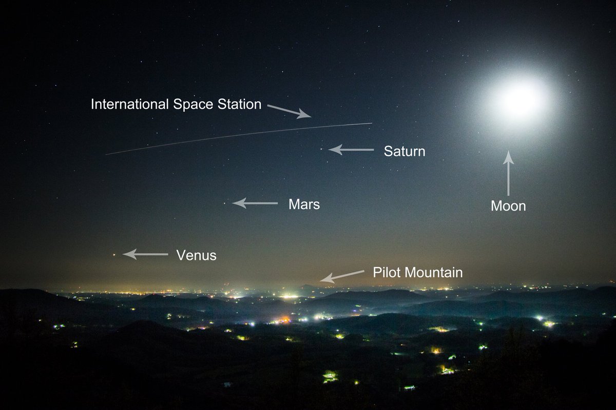 Fred Mitchell tweet media