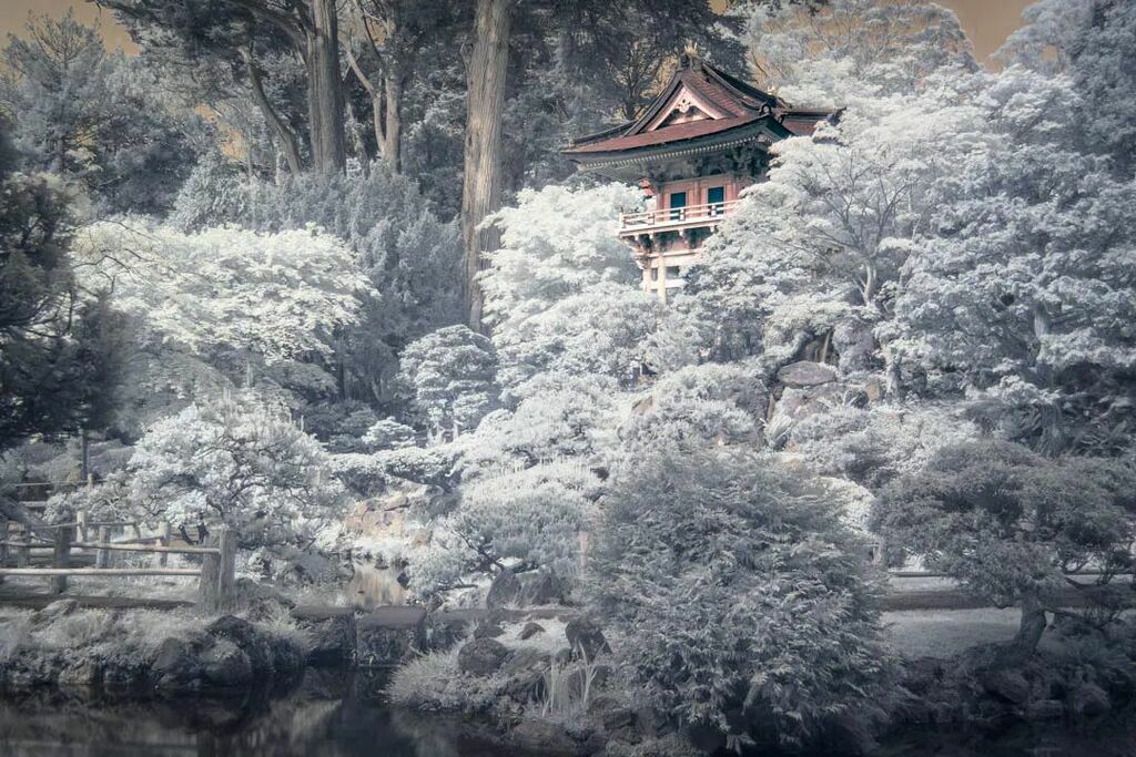 justlai87's tweet photo. As I think about the places I want to capture in infrared (IR), I started thinking if I should create a separate account for my IR photos. Will I have enough content to warrant its own account? 
•
Having a consistent look for my Instagram account has… https://t.co/a0hveGKtrg https://t.co/oazHZNUWjR