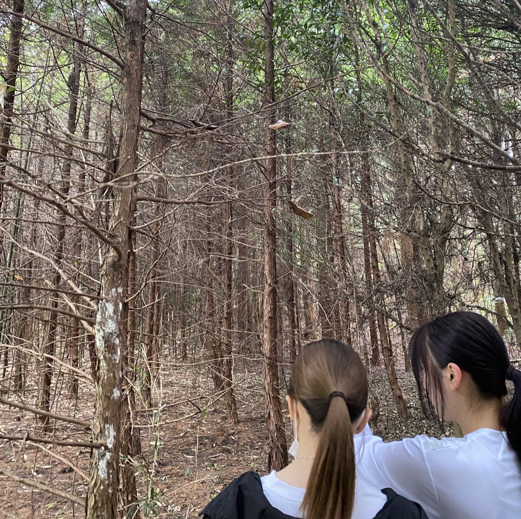 OCshinkan2026's tweet photo. 週末にフォレスト体験会が行われました‼︎
来てくださった新入生の皆さんありがとうございます😊
まだまだ新歓活動は続きますので、気になった方はぜひご参加ください✨
#春から早稲田 #春から理科大 #春から本女
#インカレ https://t.co/4lc0jcqMIY