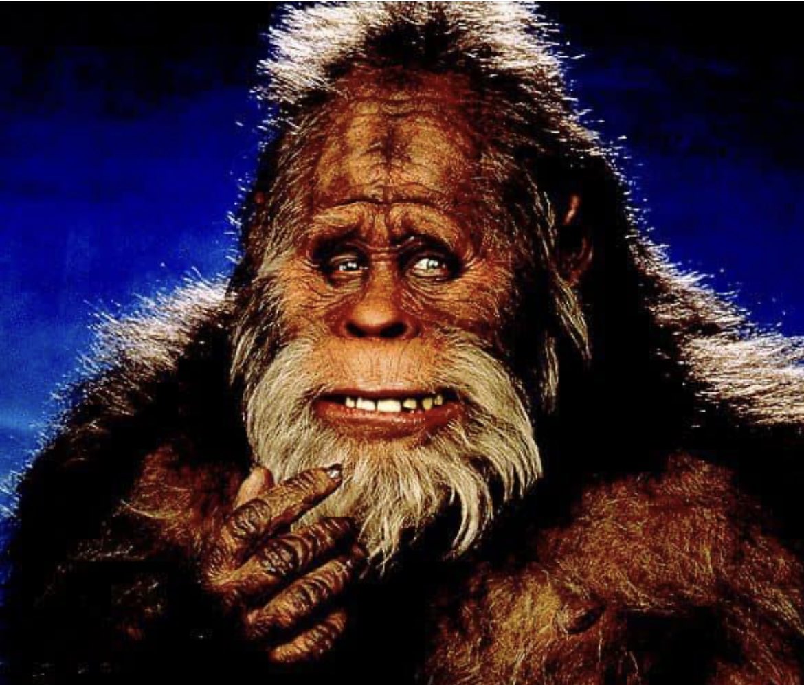 NathanStone242's tweet photo. Is tomorrow really Monday?? https://t.co/QGaKGmUGgS