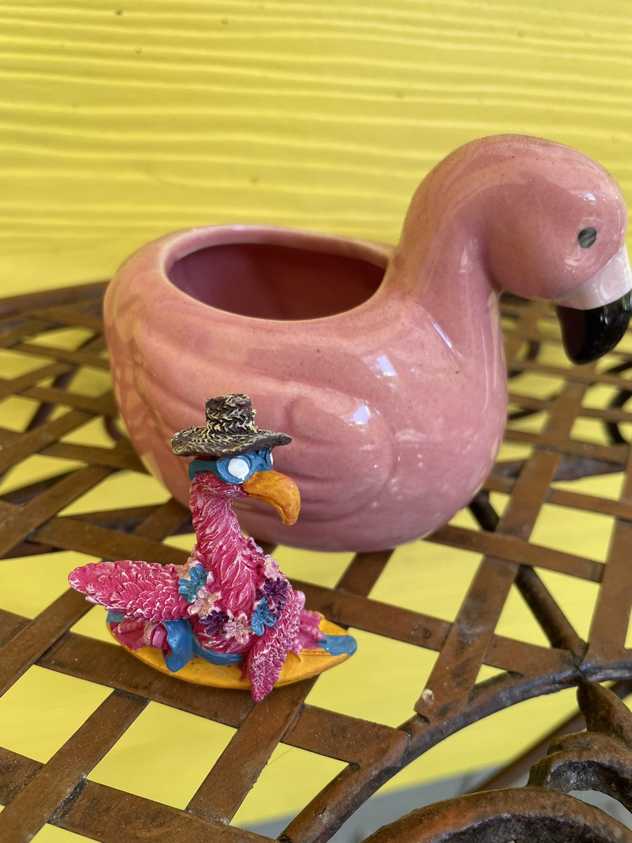 RichDenee's tweet photo. I’m not into flamingoes! Which is why I have funny-guys in my life periodically punking me by leaving tiny flamingoes in surprising places.
@cara_bear_uh was today’s culprit! And her efforts to deny it were funnier than the flamingo! (Which is quite cute & funny!)
#Flamingoed https://t.co/UpFIVTw1CH