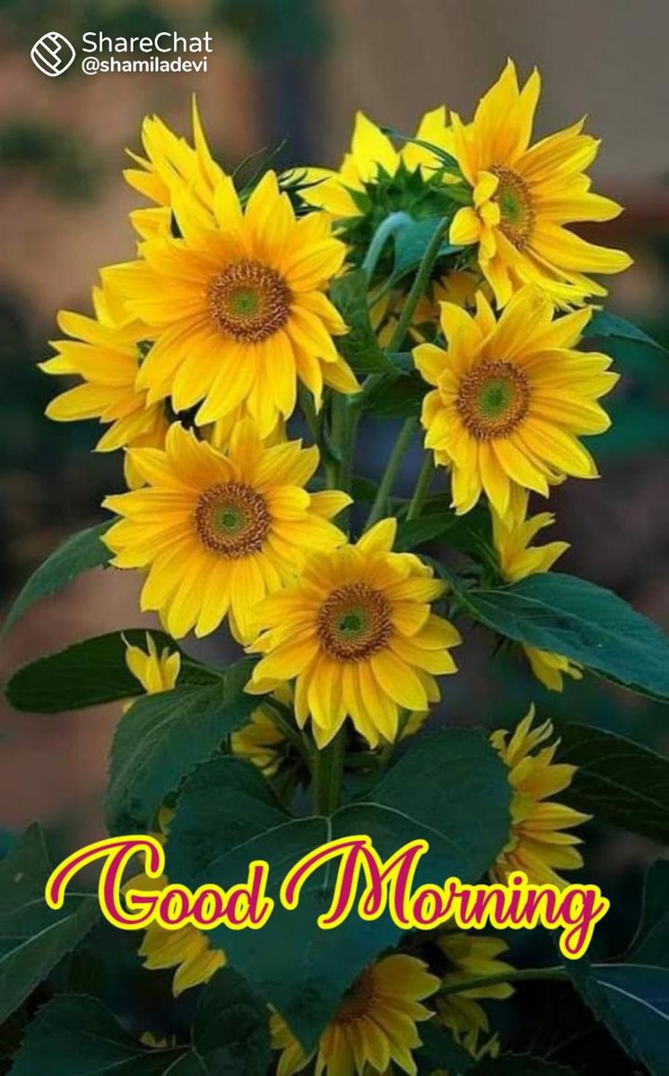 Subhash43450263's tweet photo. https://t.co/xl6sBqjQNV