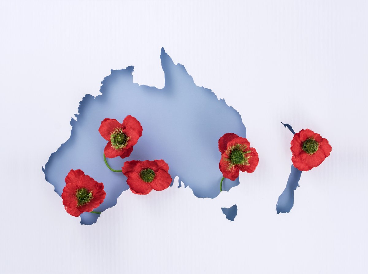 ParkeLawyers's tweet photo. Lest we forget. 🌺 https://t.co/cOhnp8WqUX