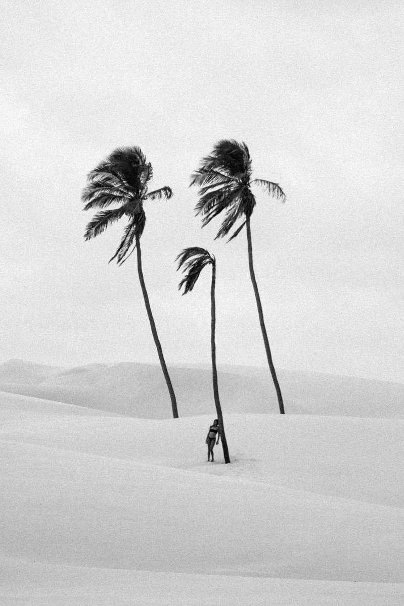 ricardobrazb's tweet image. this is probably my favorite photo ever. I never minted it. should I?