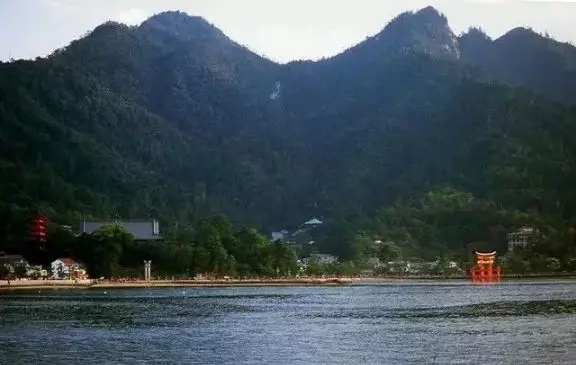 fcdexpert's tweet image. 绿水青山