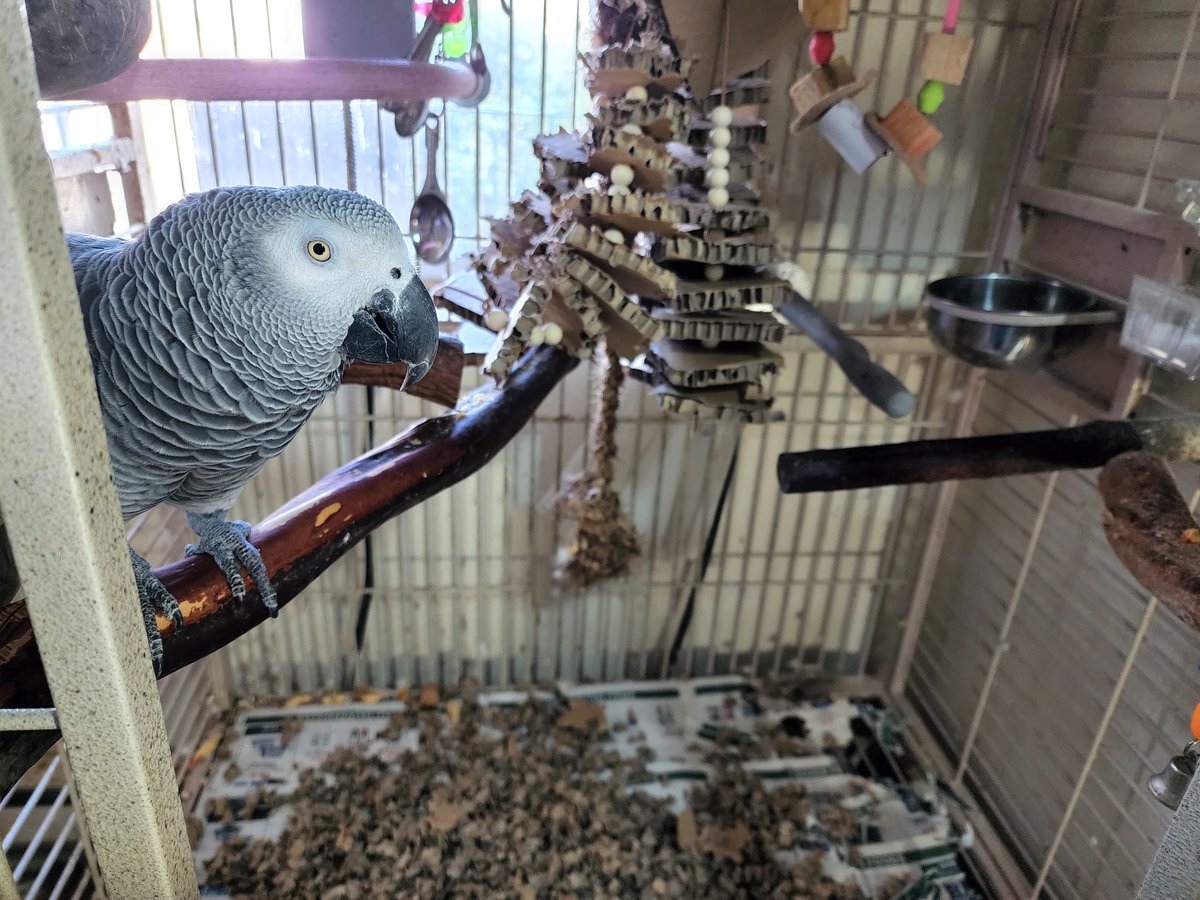 Flock Is Family tweet media