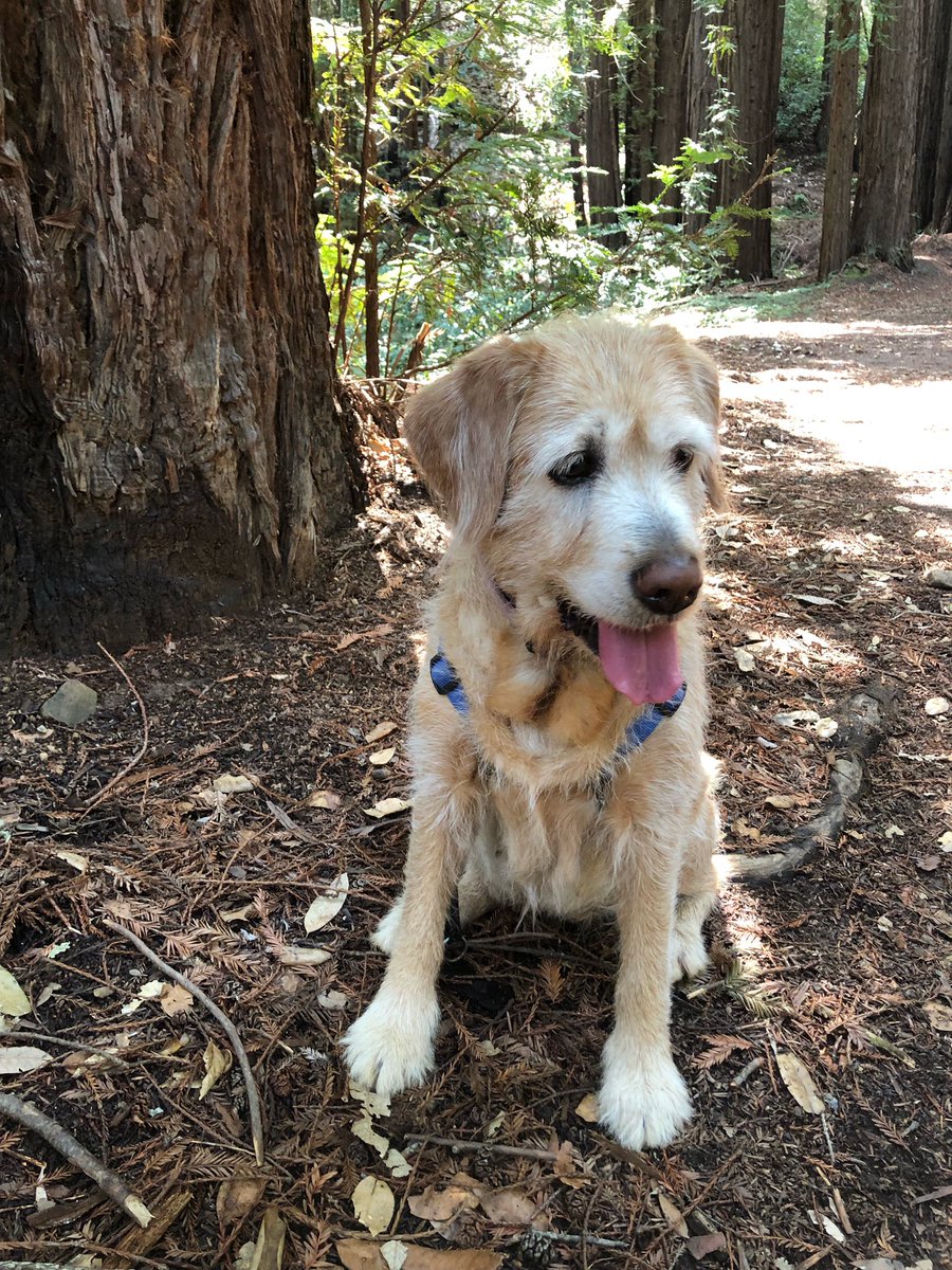 itsericthomas's tweet image. 😎