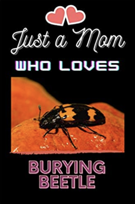 Rosemary Mosco (Bird And Moon Comics) tweet media