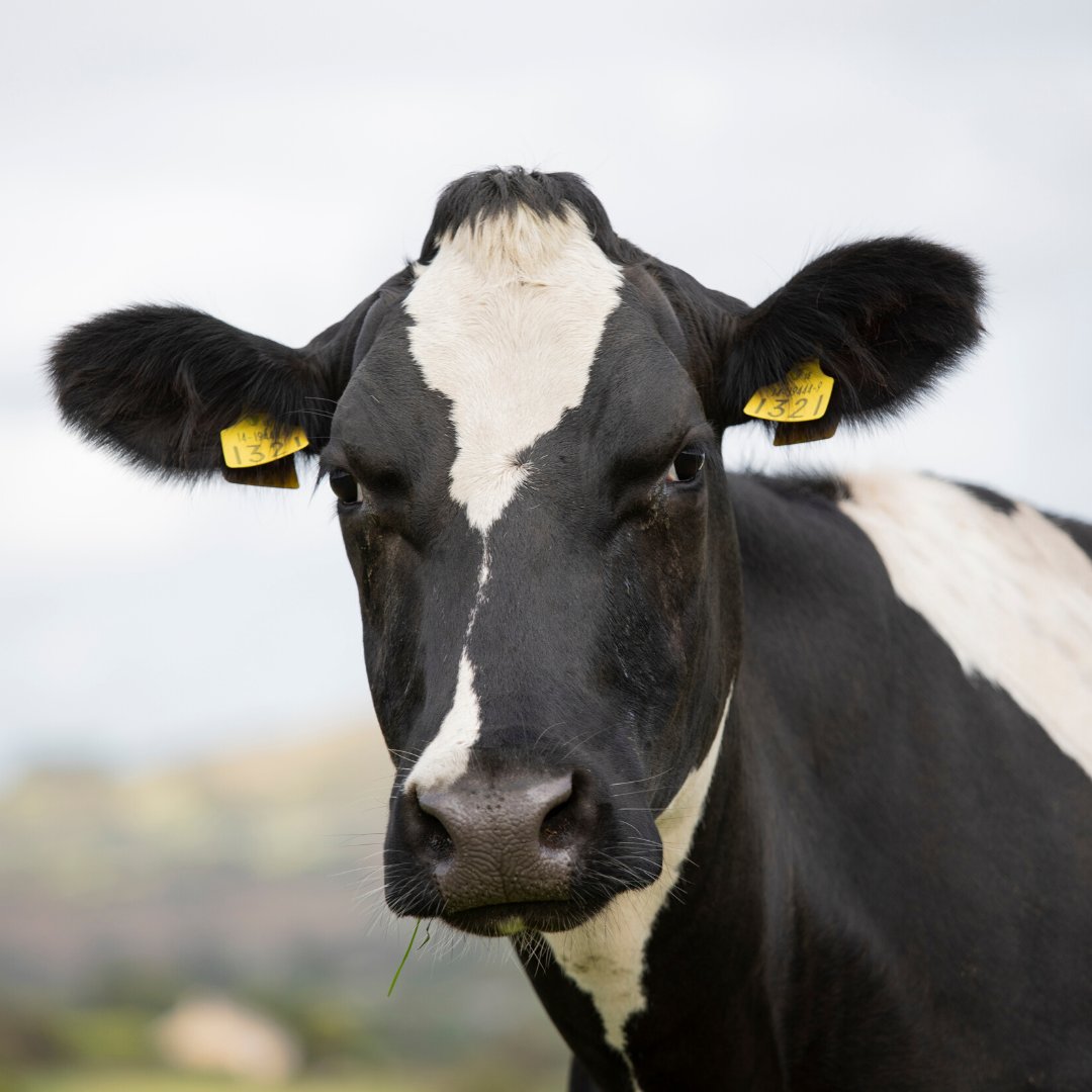 This is our Monday morning face... ☕ coffee please.