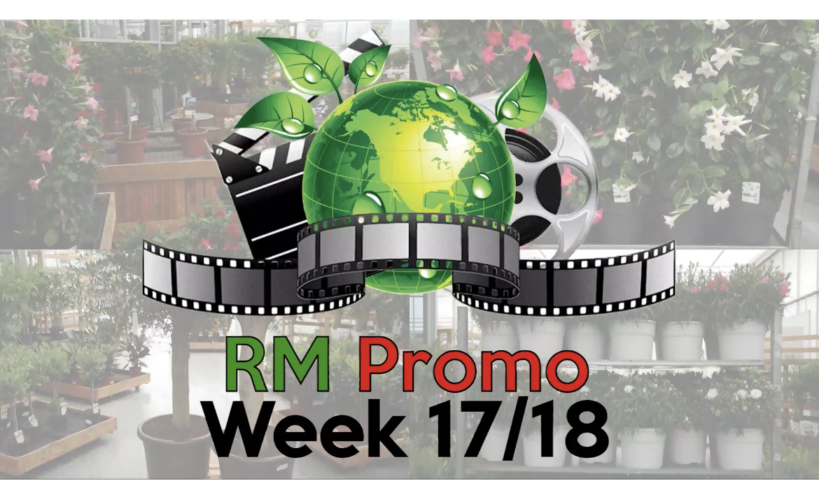 RMPlants's tweet photo. https://t.co/UfqdOsCf6I https://t.co/5f9iy1nqFj