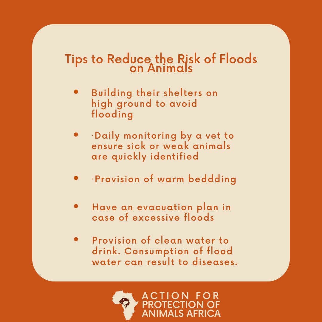 When floods strike, animals also bear the consequences. Here are some tips to ensure that your animal survives the brunt of floods. #HappyNewWeek #AnimalWelfare