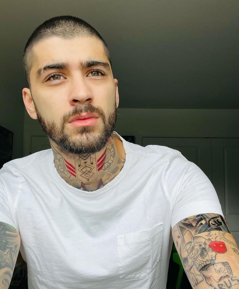 Nothing just Zayn Malik living as art