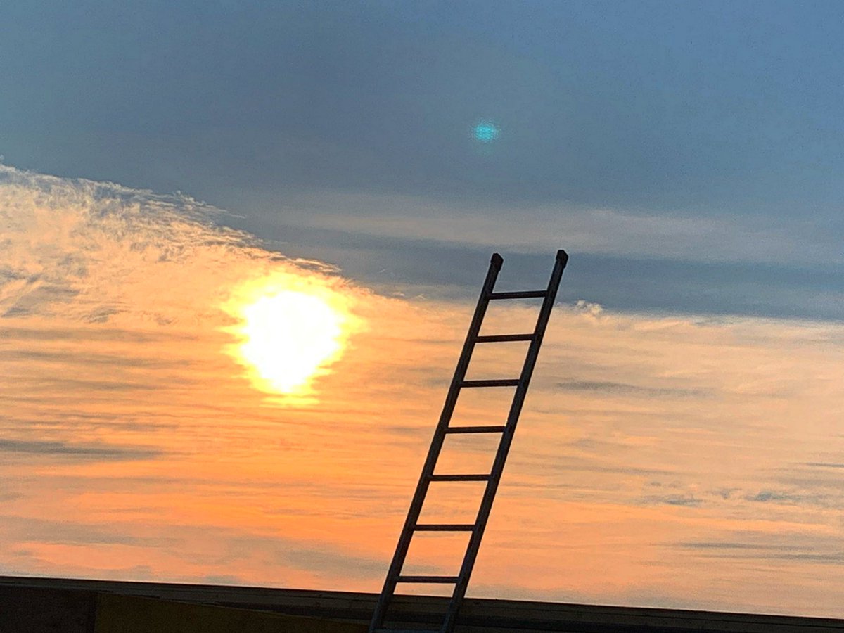 romanpberry's tweet image. Stairway to? 
    
#ladder #sunrise #rareview #perspective #photoop #storytelling #nature #morning #melbourne #whimsy