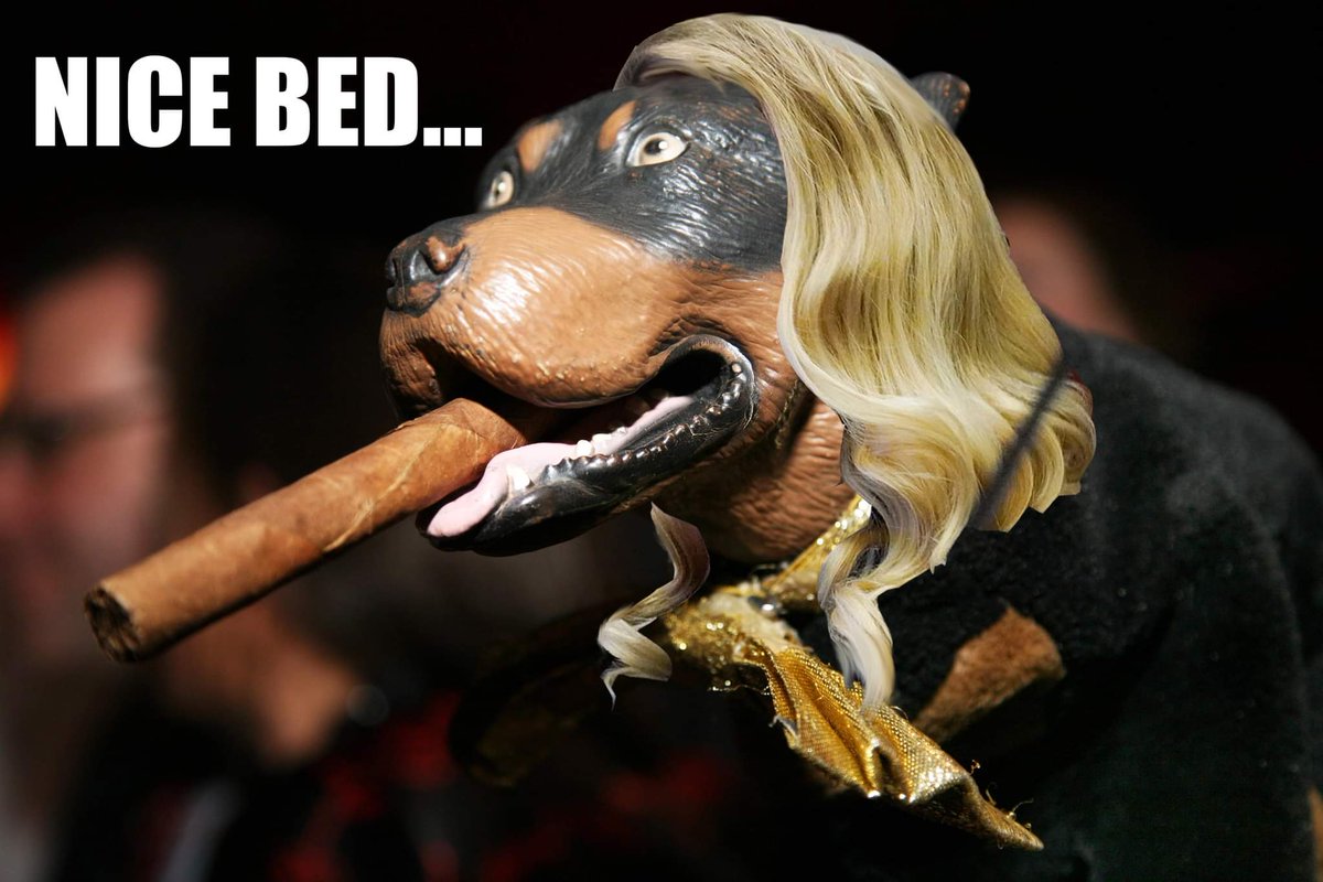 Codeflex2's tweet image. #JohnnyDepp #DeppVsHeard