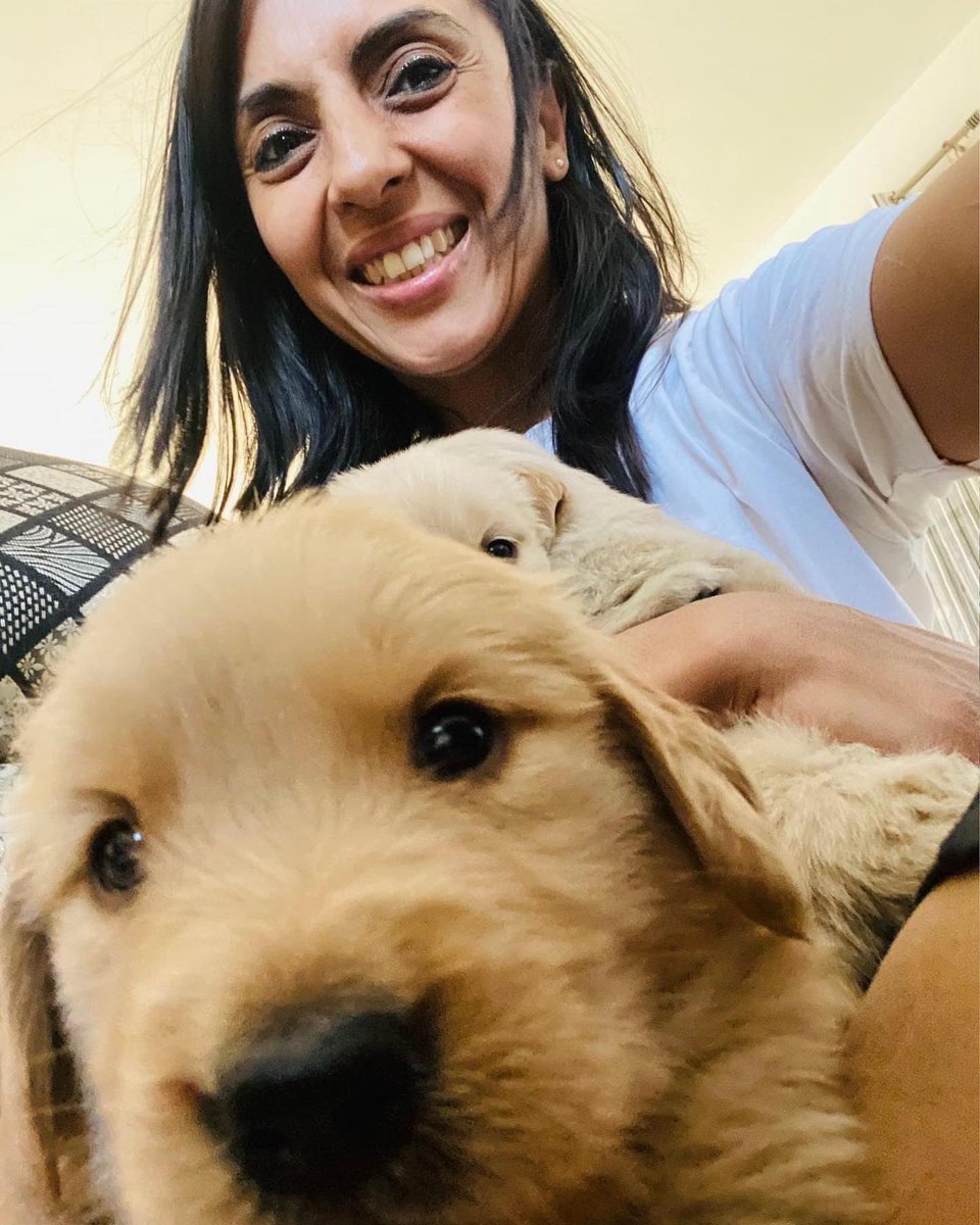 iamvanikaushal's tweet photo. These #goldenretrievers are a month old. Their eyes are open. And they are ready for all that life has to offer them. 

#GoldenRetrievers #goldenretriever #goldenretrieverpuppy #retrieverpups  #goldenretrieverlovers #dogsofinstagram #puppiesofinstagram #puppies #dog #doglovers https://t.co/vvKfJfl434
