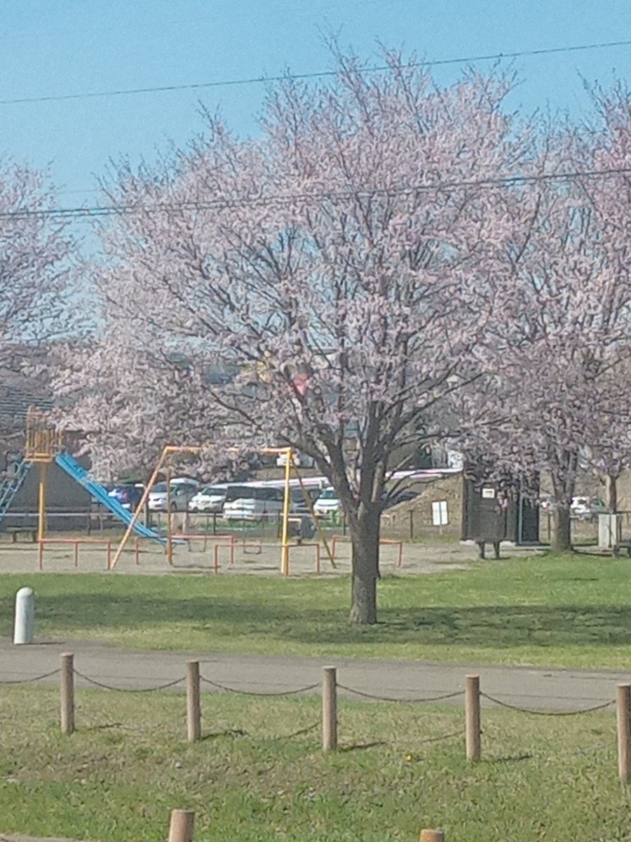帯広にも春が来た