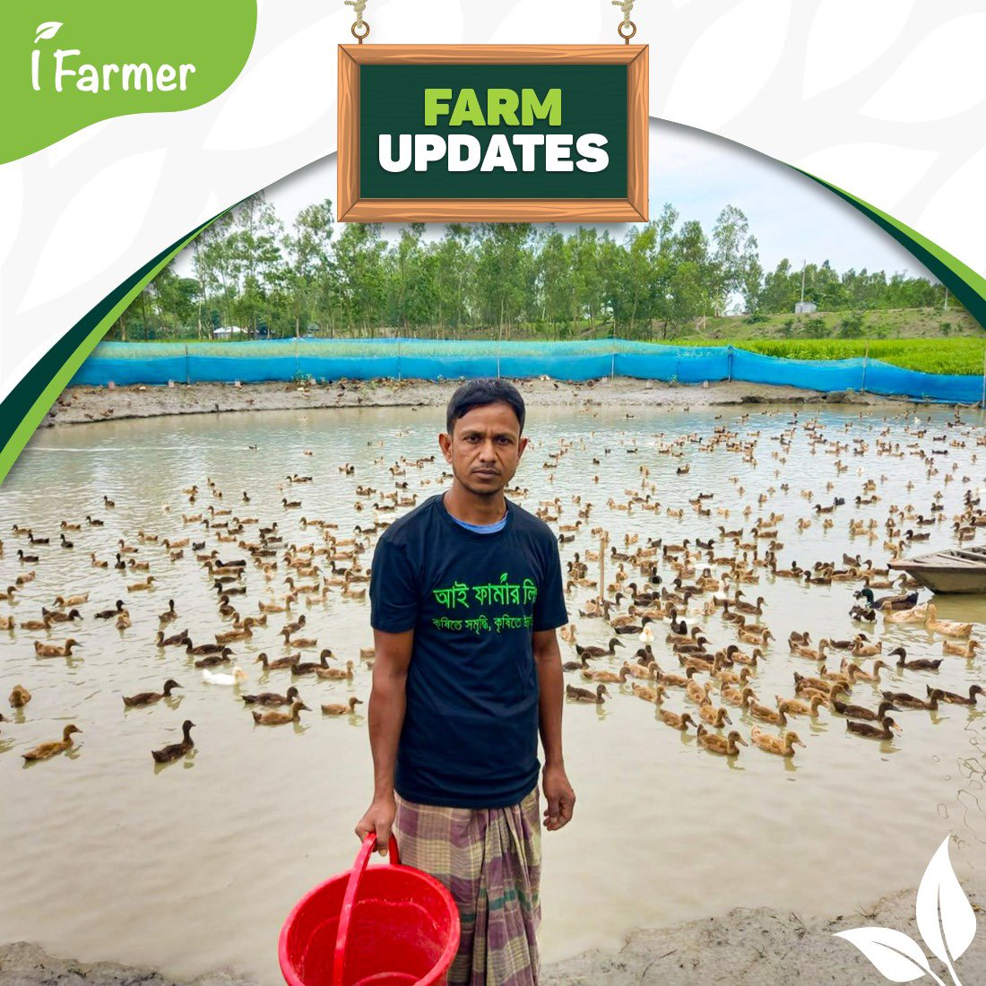 iFarmer_Asia's tweet photo. Time for our Duck Farm Update!
We are glad to announce that our duck farms have been doing well. Here we bring you a few moments from our duck farms, live from the field.
Stay tuned for more farm updates.
#iFarmer #FarmUpdates #DuckFarm #ConnectingPeople #HarvestingWealth https://t.co/kAmV78778o