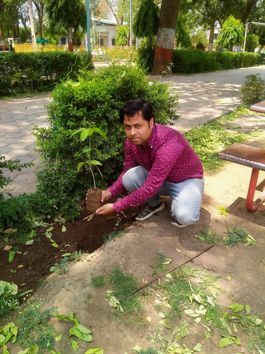 Ankit Verma tweet media