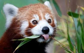 Sprmarx (@sprmarx) on Twitter photo 