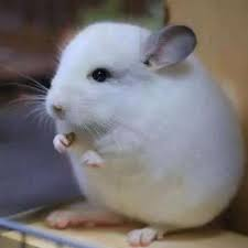 Sprmarx (@sprmarx) on Twitter photo 