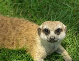 Sprmarx (@sprmarx) on Twitter photo 